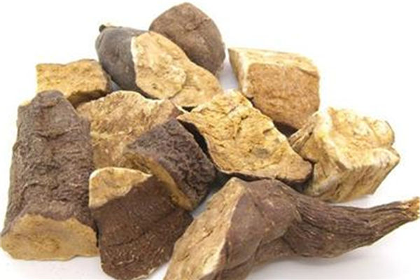 何首烏可以補(bǔ)腎嗎 何首烏對(duì)男性有什么作用 何首烏可以補(bǔ)腎嗎 何首烏對(duì)男性有什么作用