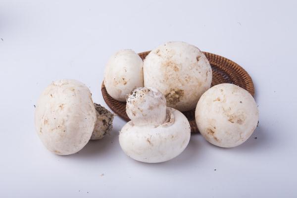 口蘑要去掉柄嗎 口蘑可以生吃嗎 口蘑要去掉柄嗎 口蘑可以生吃嗎