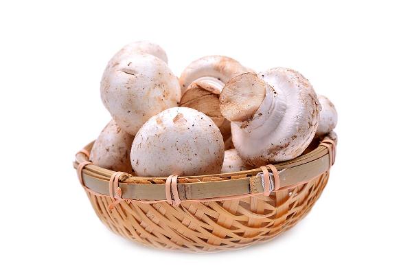 口蘑是雙孢菇嗎 烤口蘑為什么出水 口蘑是雙孢菇嗎 烤口蘑為什么出水