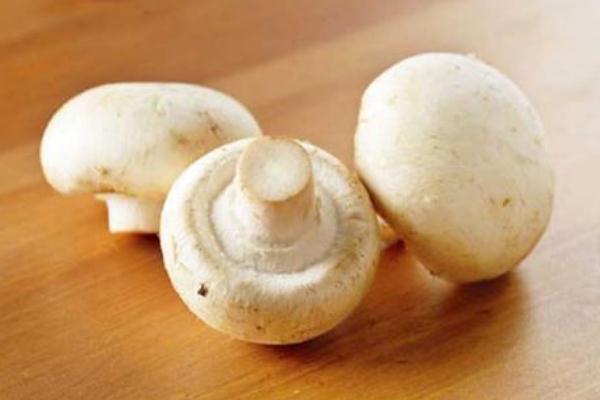 口蘑孕婦可以吃嗎 孕婦吃口蘑的注意事項 口蘑孕婦可以吃嗎 孕婦吃口蘑的注意事項