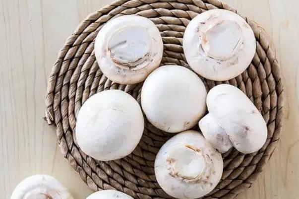 口蘑對(duì)身體有什么好處 口蘑對(duì)減肥有效果嗎 口蘑對(duì)身體有什么好處 口蘑對(duì)減肥有效果嗎