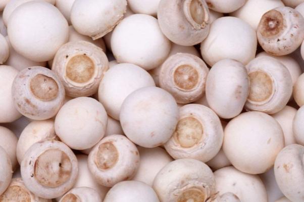 口蘑孕婦可以吃嗎 孕婦吃口蘑的注意事項 口蘑孕婦可以吃嗎 孕婦吃口蘑的注意事項