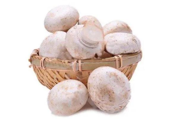 口蘑會發(fā)胖嗎 口蘑會壞嗎 口蘑會發(fā)胖嗎 口蘑會壞嗎