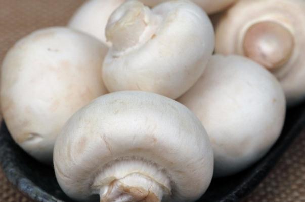 口蘑的營養(yǎng)價值與功效 口蘑的禁忌 口蘑的營養(yǎng)價值與功效 口蘑的禁忌