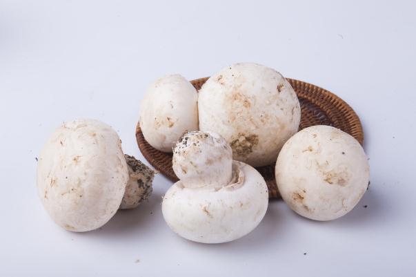 口蘑有斑點(diǎn)還能吃嗎 口蘑有毒性嗎 口蘑有斑點(diǎn)還能吃嗎 口蘑有毒性嗎