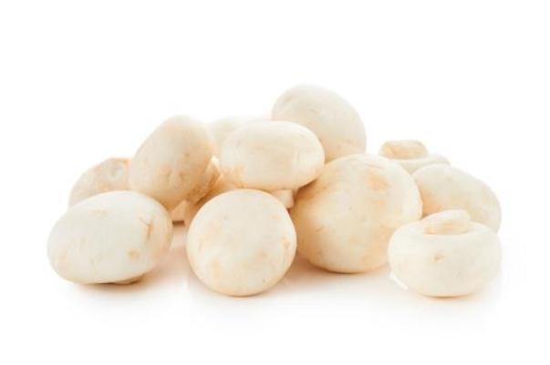 口蘑是雙孢菇嗎 烤口蘑為什么出水 口蘑是雙孢菇嗎 烤口蘑為什么出水