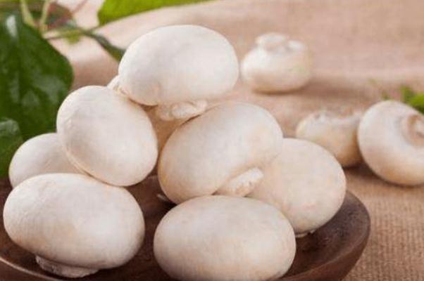 口蘑里面黑色能吃嗎 口蘑里面黑色是壞了嗎 口蘑里面黑色能吃嗎 口蘑里面黑色是壞了嗎