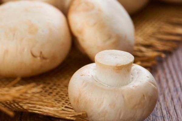 口蘑烤多久能熟 如何判斷口蘑是否烤熟了 口蘑烤多久能熟 如何判斷口蘑是否烤熟了