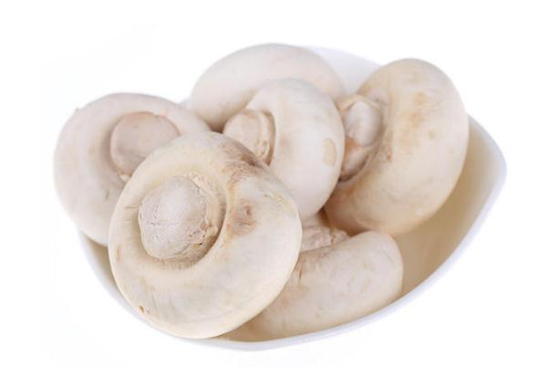 口蘑會中毒嗎 吃口蘑中毒的癥狀 口蘑會中毒嗎 吃口蘑中毒的癥狀