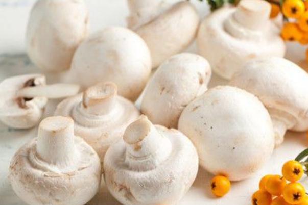 口蘑會發(fā)胖嗎 口蘑會壞嗎 口蘑會發(fā)胖嗎 口蘑會壞嗎