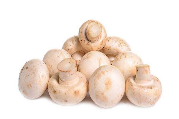 口蘑的營養(yǎng)價值與功效 口蘑的禁忌 口蘑的營養(yǎng)價值與功效 口蘑的禁忌