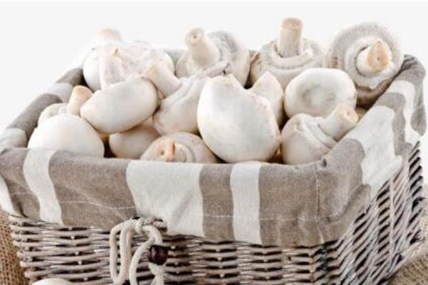 口蘑會中毒嗎 吃口蘑中毒的癥狀 口蘑會中毒嗎 吃口蘑中毒的癥狀