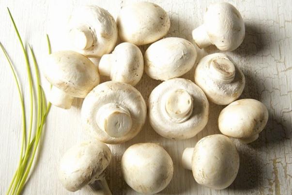 口蘑要去掉柄嗎 口蘑可以生吃嗎 口蘑要去掉柄嗎 口蘑可以生吃嗎