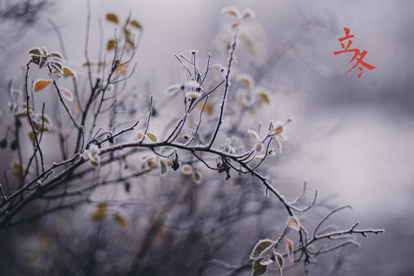 立冬是幾月幾日2021 立冬之后是什么節(jié)氣 立冬是幾月幾日2021 立冬之后是什么節(jié)氣