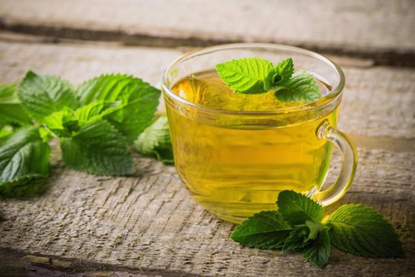薄荷茶可以天天喝嗎 薄荷茶一天喝多少合適 薄荷茶可以天天喝嗎 薄荷茶一天喝多少合適