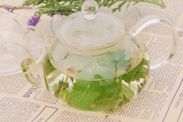 薄荷茶可以空腹喝嗎 薄荷茶什么時候喝比較好 薄荷茶可以空腹喝嗎 薄荷茶什么時候喝比較好