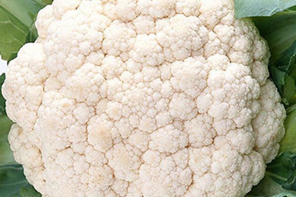 吃花椰菜容易脹氣嗎 吃花菜的注意事項 吃花椰菜容易脹氣嗎 吃花菜的注意事項