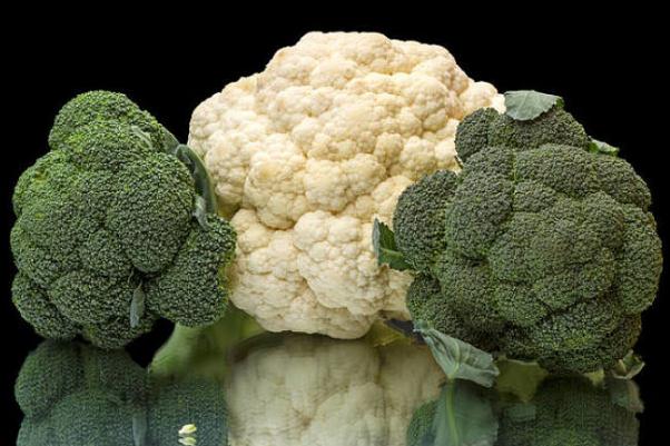 花椰菜有黑點(diǎn)能吃嗎 花椰菜有點(diǎn)發(fā)霉 花椰菜有黑點(diǎn)能吃嗎 花椰菜有點(diǎn)發(fā)霉