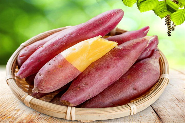 紅薯的營養(yǎng)成分 紅薯可以生吃嗎 紅薯的營養(yǎng)成分 紅薯可以生吃嗎