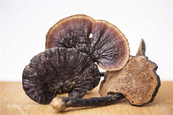 靈芝能降血糖嗎 靈芝的營養(yǎng)價值是什么 靈芝能降血糖嗎 靈芝的營養(yǎng)價值是什么