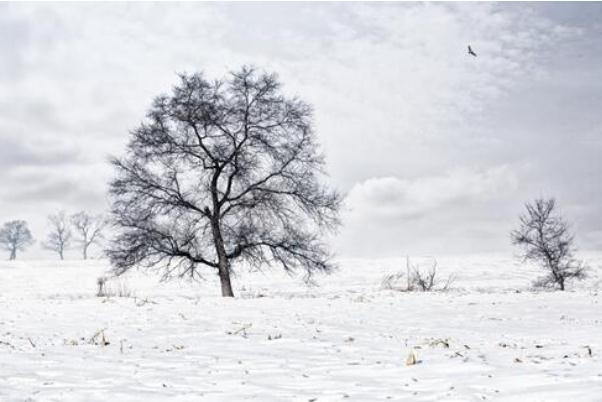寒潮是怎么形成的 寒潮是什么現(xiàn)象 寒潮是怎么形成的 寒潮是什么現(xiàn)象