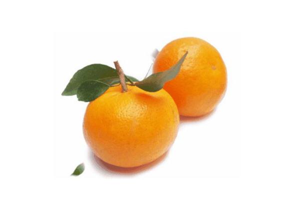 沃柑有籽嗎 沃柑的籽能吃嗎 沃柑有籽嗎 沃柑的籽能吃嗎