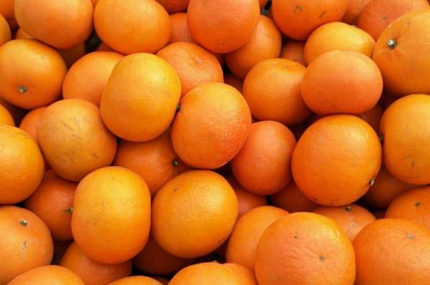 沃柑是什么雜交出來的 沃柑是什么水果 沃柑是什么雜交出來的 沃柑是什么水果