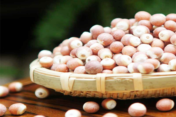 芡實(shí)會不會上火 芡實(shí)會不會脹氣 芡實(shí)會不會上火 芡實(shí)會不會脹氣