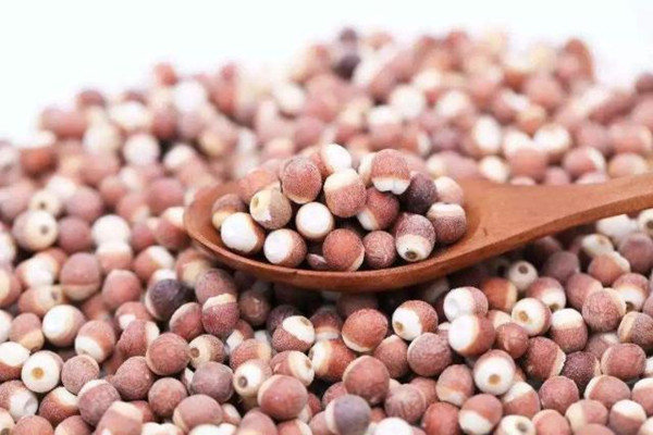 芡實(shí)可以去濕氣嗎 芡實(shí)去濕效果好嗎 芡實(shí)可以去濕氣嗎 芡實(shí)去濕效果好嗎