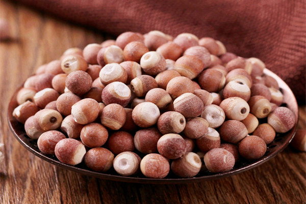 芡實有什么營養(yǎng)價值 芡實的適宜人群 芡實有什么營養(yǎng)價值 芡實的適宜人群