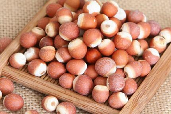 芡實能空腹吃嗎 芡實晚上可以吃嗎 芡實能空腹吃嗎 芡實晚上可以吃嗎