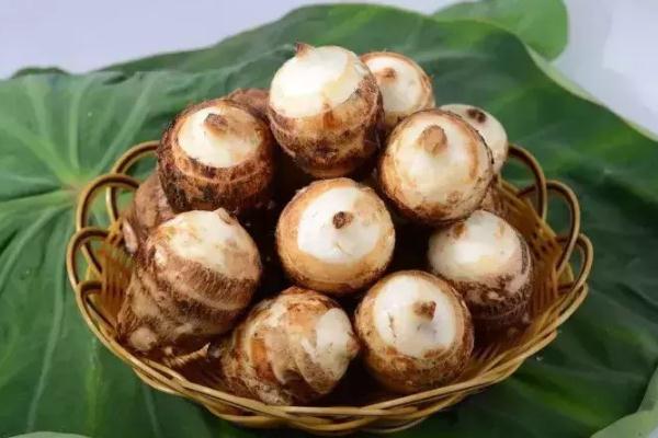 芋頭要冷水煮還是熱水煮 芋頭要去皮嗎 芋頭要冷水煮還是熱水煮 芋頭要去皮嗎