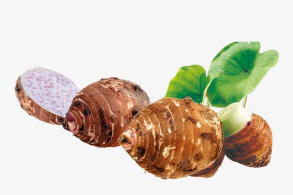 芋頭的熱量和減肥功效 芋頭的營養(yǎng)成分 芋頭的熱量和減肥功效 芋頭的營養(yǎng)成分