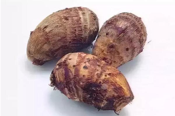 芋頭的功效與作用禁忌 芋頭怎么吃最簡(jiǎn)單做法 芋頭的功效與作用禁忌 芋頭怎么吃最簡(jiǎn)單做法