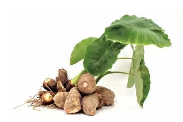 芋頭怎么去皮最快 芋頭含糖量高嗎 芋頭怎么去皮最快 芋頭含糖量高嗎