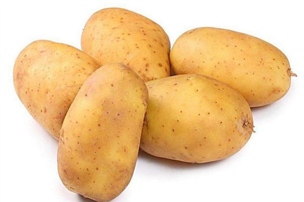 土豆會不會回奶 土豆會不會升血糖 土豆會不會回奶 土豆會不會升血糖