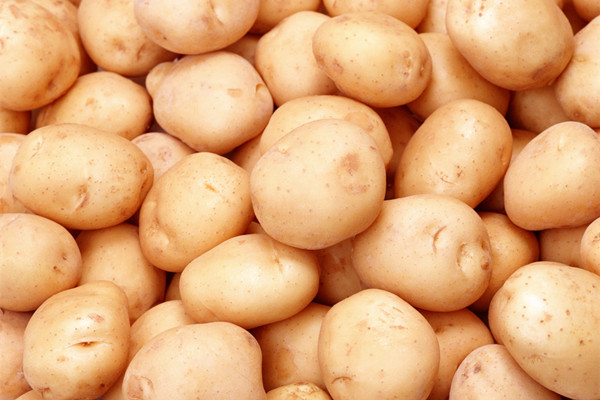 什么樣的土豆不能吃 怎么看土豆有沒有壞 什么樣的土豆不能吃 怎么看土豆有沒有壞