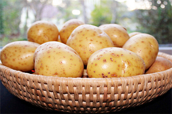 蒸土豆需要去皮嗎 蒸土豆需要多長(zhǎng)時(shí)間 蒸土豆需要去皮嗎 蒸土豆需要多長(zhǎng)時(shí)間