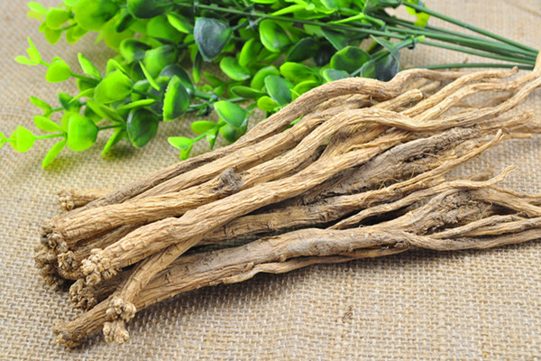 黨參能和菊花一起泡水嗎 黨參能和西洋參一起泡水喝嗎 黨參能和菊花一起泡水嗎 黨參能和西洋參一起泡水喝嗎