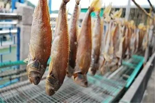 腌魚要腌多久可以曬 腌魚曬幾天不用曬了 腌魚要腌多久可以曬 腌魚曬幾天不用曬了
