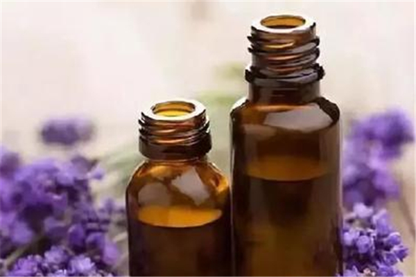薰衣草精油和什么基礎油搭配 薰衣草精油為什么不能直接涂 薰衣草精油和什么基礎油搭配 薰衣草精油為什么不能直接涂