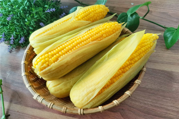 玉米煮多久能煮熟 玉米怎么看煮熟沒熟 玉米煮多久能煮熟 玉米怎么看煮熟沒熟