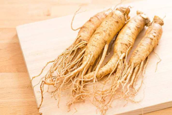 長白山人參是大個的好還是小個好 長白山人參是越重越好嗎 長白山人參是大個的好還是小個好 長白山人參是越重越好嗎