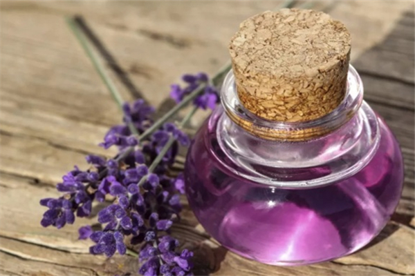 薰衣草精油和什么基礎油搭配 薰衣草精油為什么不能直接涂 薰衣草精油和什么基礎油搭配 薰衣草精油為什么不能直接涂