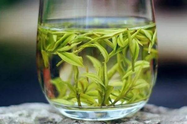 安吉白茶孕婦可以喝嗎 安吉白茶是涼性的還是熱性的 安吉白茶孕婦可以喝嗎 安吉白茶是涼性的還是熱性的