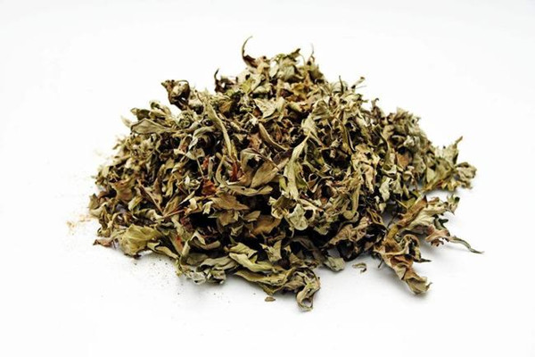 干艾葉和濕艾葉功效一樣嗎 干艾葉和濕艾葉有區(qū)別嗎 干艾葉和濕艾葉功效一樣嗎 干艾葉和濕艾葉有區(qū)別嗎