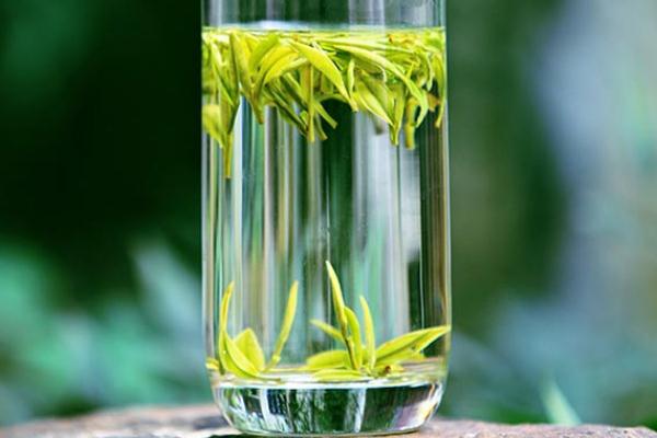 安吉白茶的功效 安吉白茶是綠色還是白茶 安吉白茶的功效 安吉白茶是綠色還是白茶