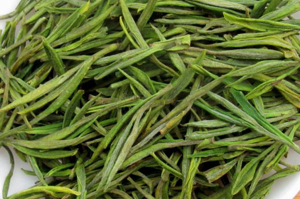 安吉白茶味道 安吉白茶口感 安吉白茶味道 安吉白茶口感