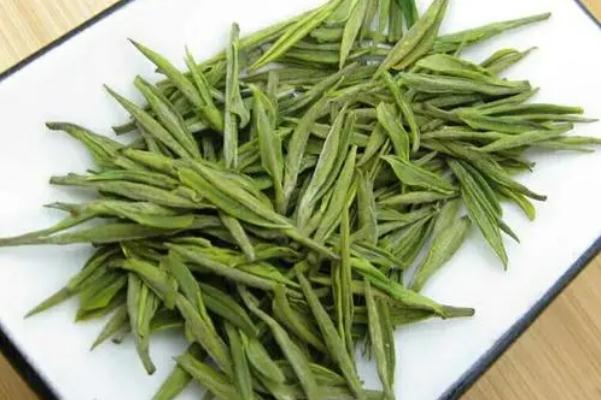 安吉白茶的功效 安吉白茶是綠色還是白茶 安吉白茶的功效 安吉白茶是綠色還是白茶