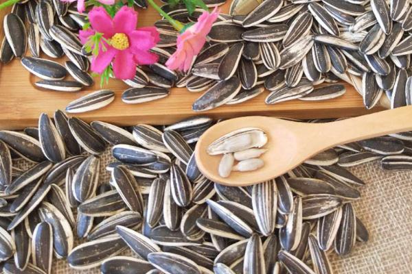 葵瓜子會(huì)脹氣嗎 葵花籽會(huì)升血糖嗎 葵瓜子會(huì)脹氣嗎 葵花籽會(huì)升血糖嗎